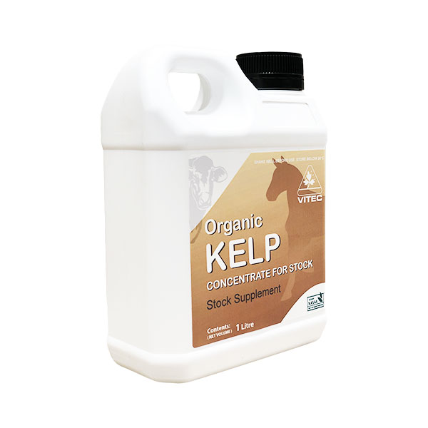 Vitec Kelp Concentrate for Stock 1L